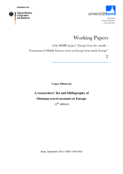 Working Papers - BMBF-Projekt „Europa von außen gesehen“