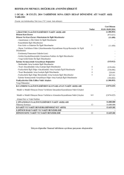 Nakit Akış Tablosu 01.01