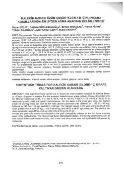 kALEcik kARAsl &uuml;z&uuml;m &ccedil;EsiDi (kLoN