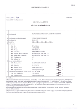 Dernek Beyannamesi 2013