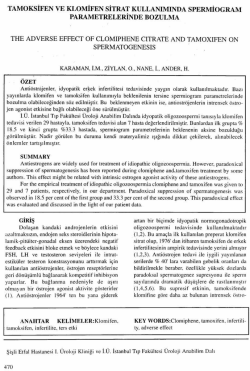 Tam Metin (PDF)