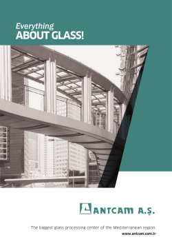 antcam ingilizce (Converted)-6