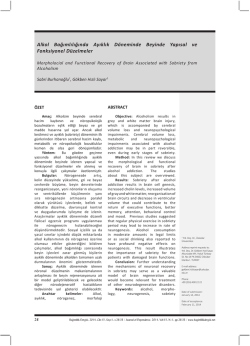 Alkol Bağımlılığında Ayıklık Döneminde Beyinde