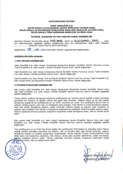 GELİR AMA&ccedil;LI uLusLARARAsI KARMA EMEKLİLİK