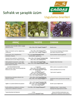Bağcılık