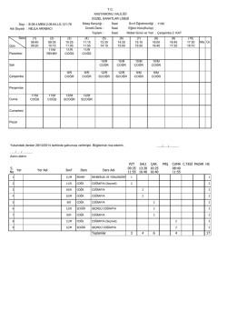 &Ouml;ğretmenlik Uygulaması Rehber &Ouml;ğretmenleri Ders Programı