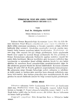 Prof. Dr. Aimdulgafur ACATAY