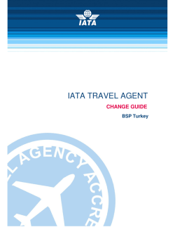IATA TRAVEL AGENT