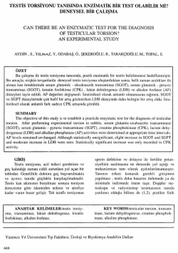 Tam Metin (PDF)