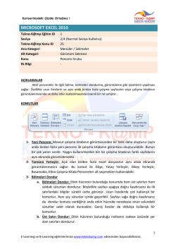 mıcrosoft excel 2010