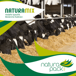 Hedefe Spesifik Beslenme Katkıları