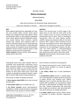 Retina Anatomisi - Kocatepe Tıp Dergisi