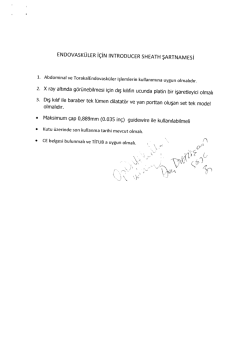 endovask&uuml;ler i&ccedil;in ıntroducer sheath şartnamesi