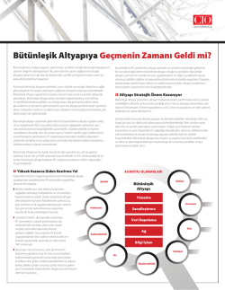 B&uuml;t&uuml;nleşik Altyapıya Ge&ccedil;menin Zamanı Geldi mi?