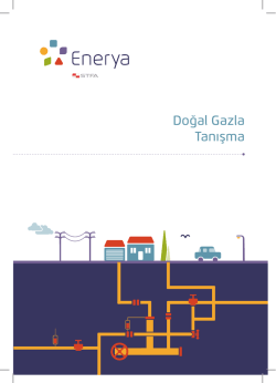 Doğal Gazla Tanışma