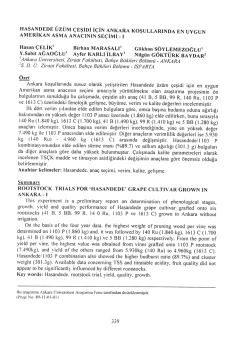 HASANDEDE &Uuml;Z&Uuml;M &Ccedil;EşıDi i&Ccedil;iN ANKARA KoşuLLARıNDA EN