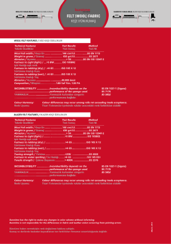 ğ r&laquo;_&not; FELT (wooL) FABnıc ğ