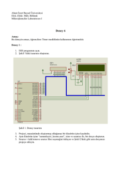 deney6 f&ouml;y&uuml; - Alper BAYRAK - Abant İzzet Baysal &Uuml;niversitesi