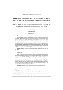 MONTESSOR Y&Ouml;NTEM N N  BE &ndash; ALTI YA