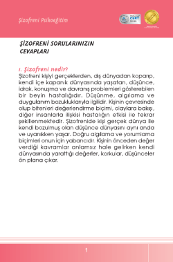 NPI SIZOFRENI PSIKOE#1FFBF.fh11