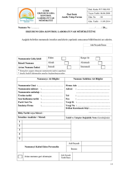 p17-nk-f03 &ouml;zel istek analiz talep formu-g&uuml;n-4