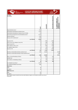 2013 Temmuz İstatistikler