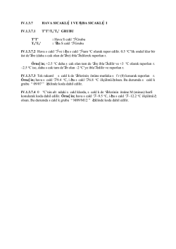 IV.1.3.7 HAVA SICAKLIĞI VE İŞBA SICAKLIĞI IV