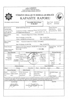 Kapasite Raporu (PDF)