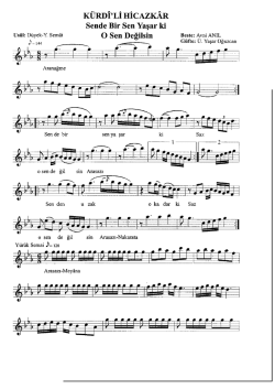 K&Uuml;RDİmİ HİCAZK&Aring;R