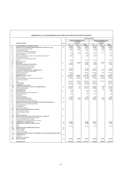 finansal durum tablosu