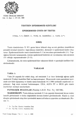 Tam Metin (PDF)