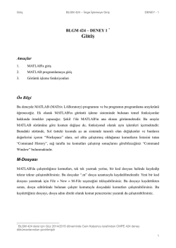 BLGM 424 &ndash; DENEY 1 GİRİŞ Ama&ccedil;lar &Ouml;n Bilgi M
