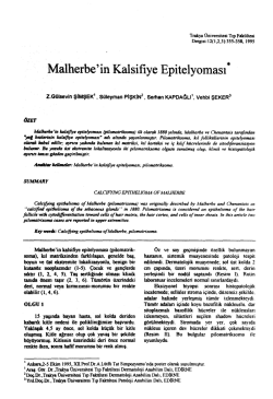 Full Text (PDF) - Balkan Medical Journal