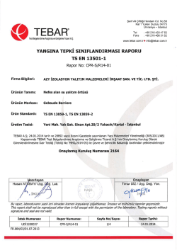 Gebaude Barriere TSE-1