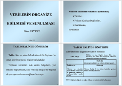 (Tam sayfa faks yazd\375rma)