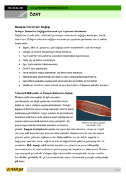 Dolaşım Sisteminin Sağlığı