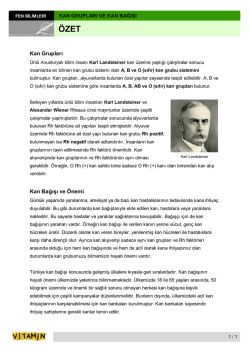 Kan Grupları Kan Bağışı ve &Ouml;nemi