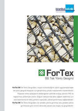 ForTex GG Tek Y&ouml;nl&uuml; Geogridleri, inşaat
