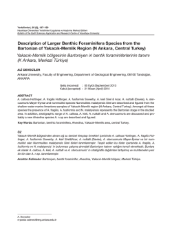 Description of Larger Benthic Foraminifera Species