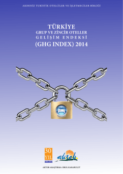 grup oteller gelişim endeksi 2014-haziran