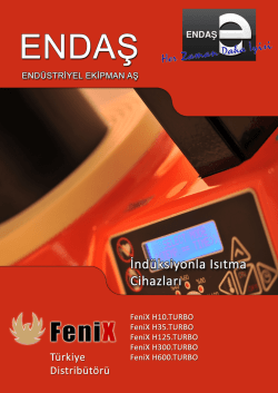 FeniX ind&uuml;ksiyonla rulman ısıtma cihazı
