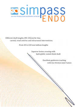 20140616 Simpass endo eng (versiyon 3)