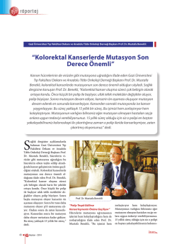 Prof. Dr. Mustafa Benekli