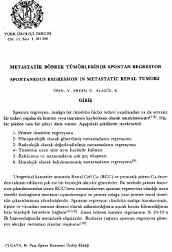 Tam Metin (PDF)