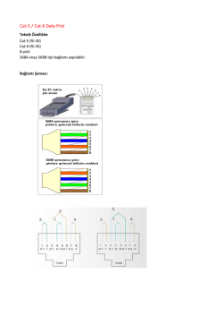 Cat-5 / Cat-6 Data Prizi