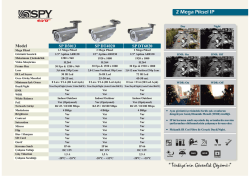 2 Mega Piksel IP