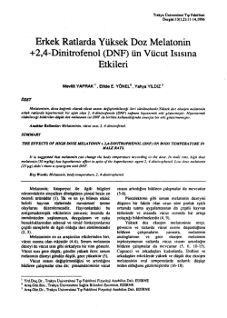i Erkek adada-Y&uuml;ksek Doneıaıonin