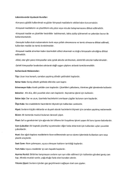 Labaratuvarda Uyulacak Kurallar: