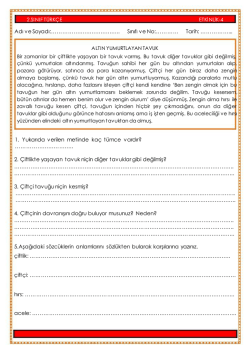 Adı ve Soyadı:&hellip;&hellip;&hellip;&hellip;&hellip;&hellip;&hellip;&hellip;&hellip;&hellip;&hellip;&hellip;.. Sınıfı ve No:&hellip;&hellip;&hellip;&hellip; Tarih