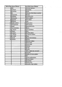 Yüksək riskli ölkələrin tam siyahısı